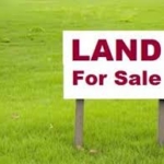 Cheap Plot for Sale