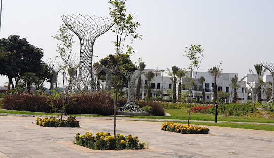 Dream Garden